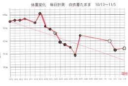 体重変化10-13〜_ページ_1.jpg