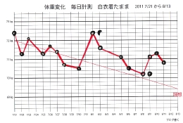 体重変化7/21〜.pdf