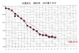 体重変化推移2011年.pdf