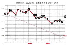 体重変化5/8〜.pdf